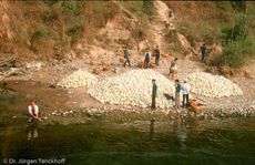 China (242 von 257).jpg